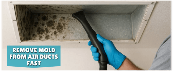 Air Duct Mold Removal in Bronx NY